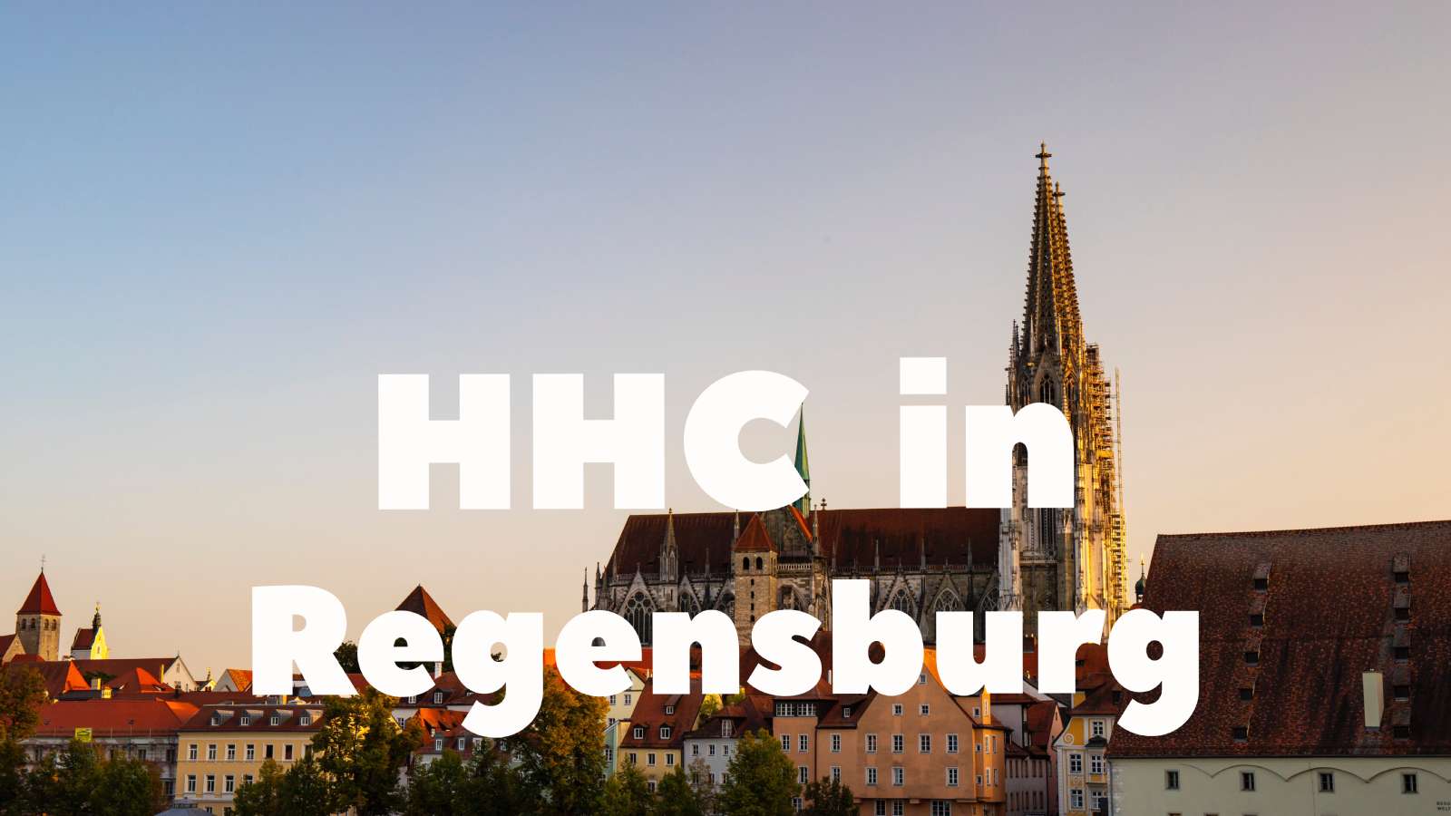 Wo kann ich HHC Vapes in Regensburg kaufen?