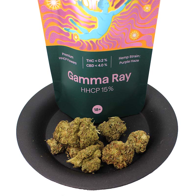 Gamma Ray HHCP Purple Haze Blüten
